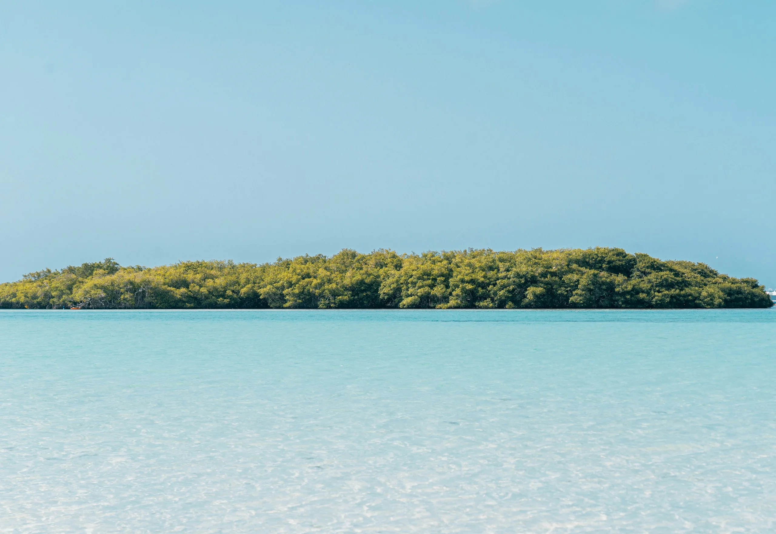 Islote de mangle en la laguna de Boca Chica con aguas cristalinas y vegetación