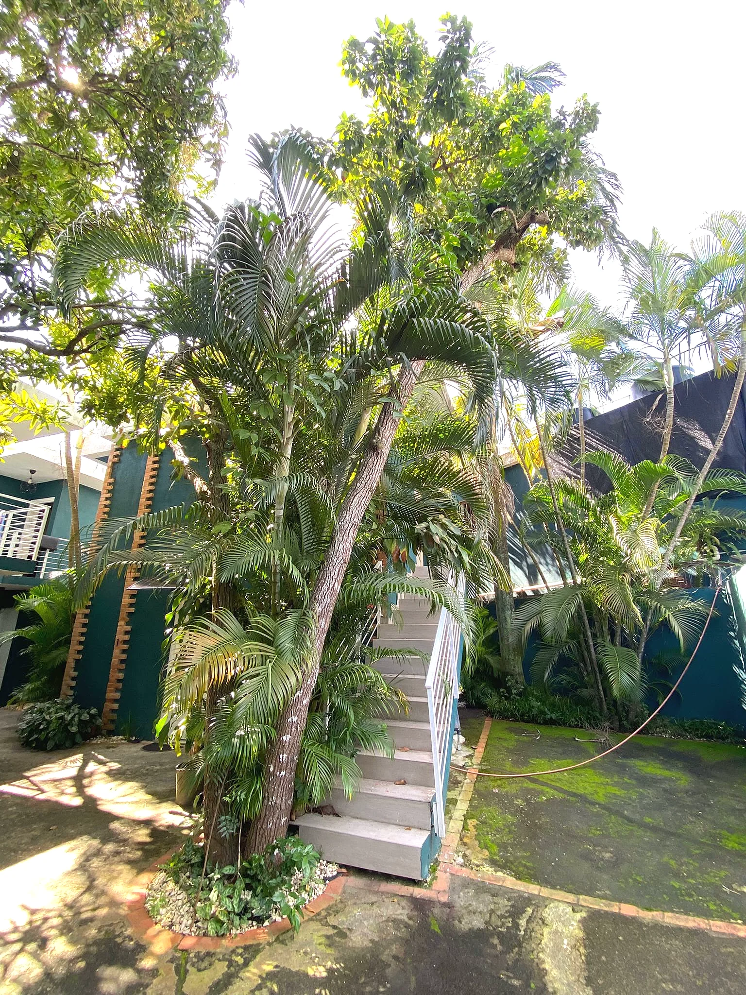 Área verde y parqueo del complejo Solano Apartments