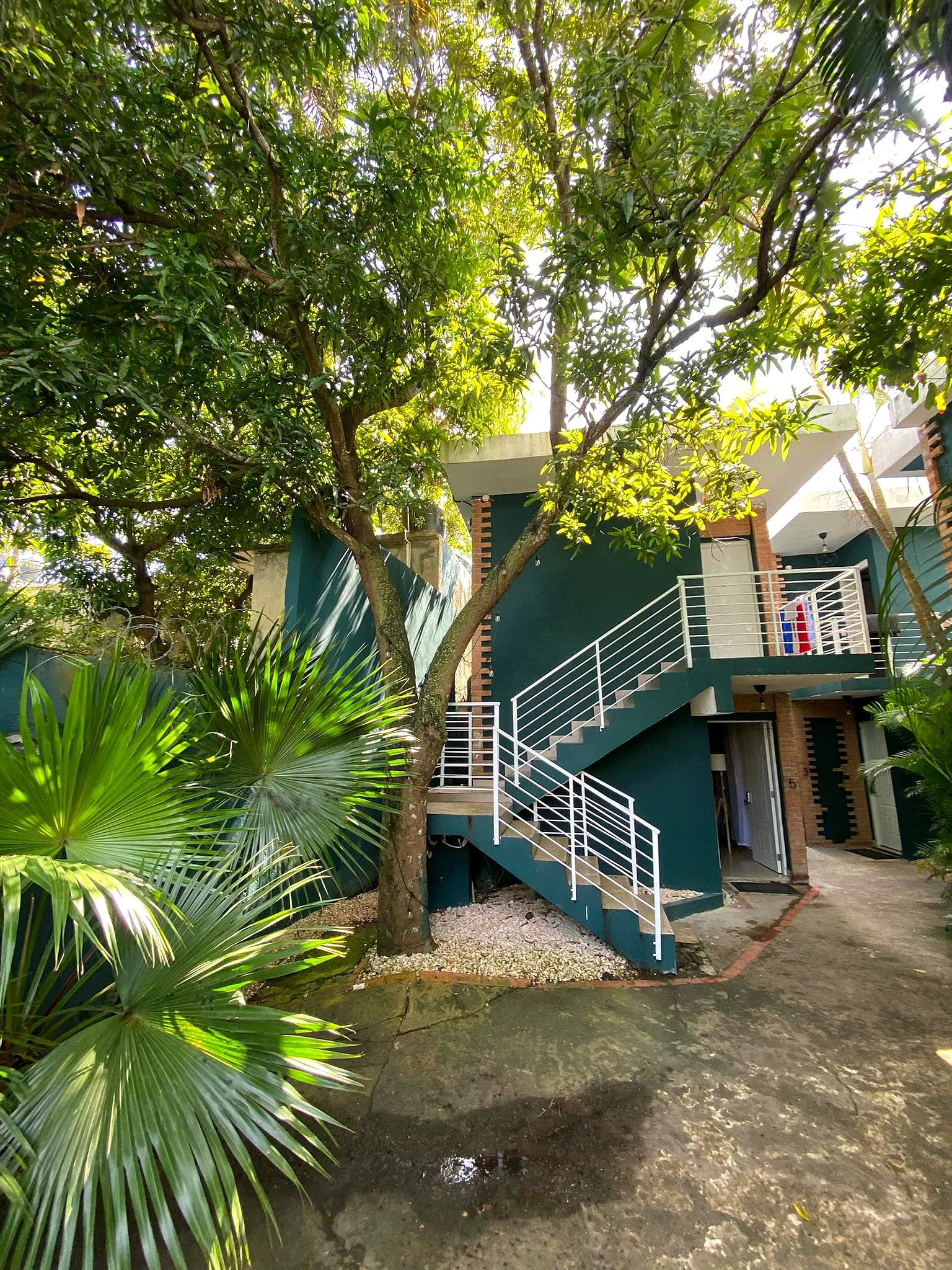 Entorno natural y tropical de Solano Apartments, Boca Chica
